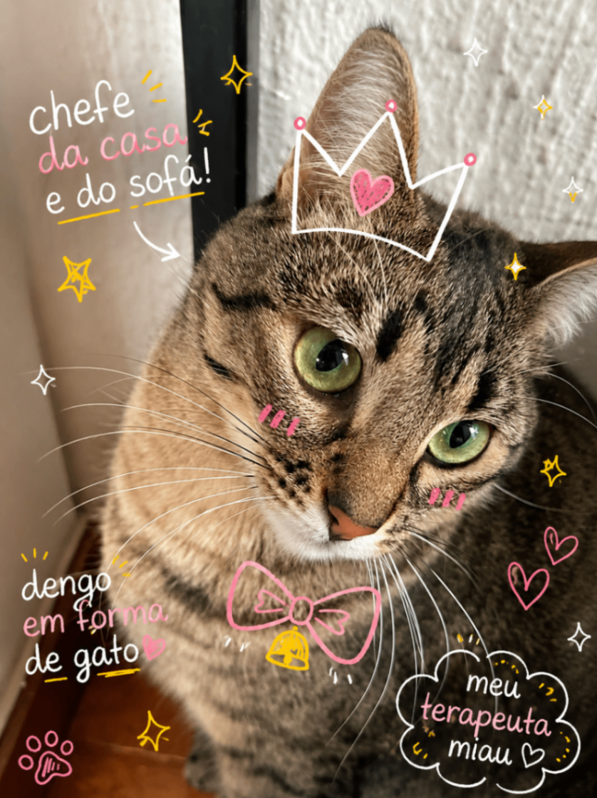 Gato rajado com doodles divertidos e visual fofo desenhado sobre a foto.